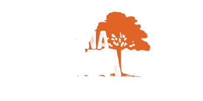 Wizards-Una-Vida-400-200